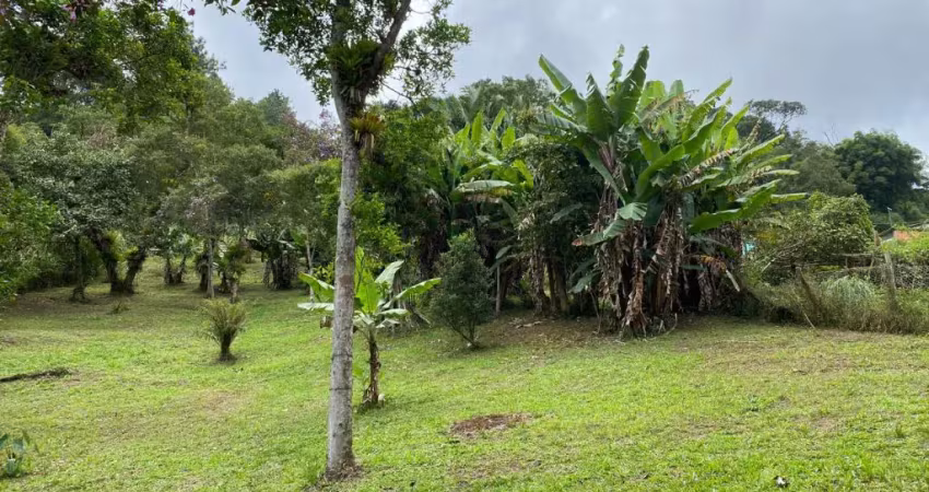 Chácara / sítio com 2 quartos à venda na Rua dos Sabiás, Parque Rio Grande, Rio Grande da Serra