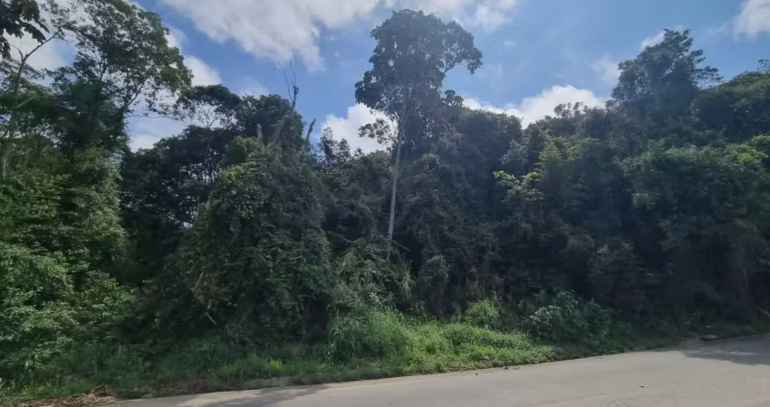 Terreno a venda em ouro fino paulista, excelente localização