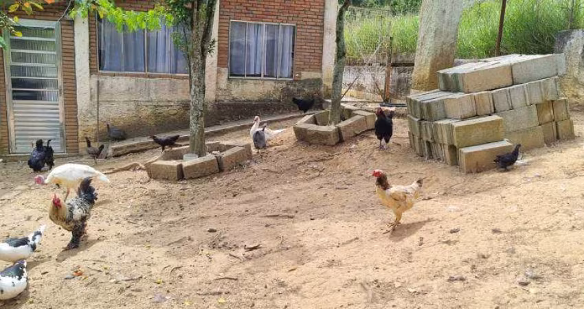 Chácara em Ipelândia