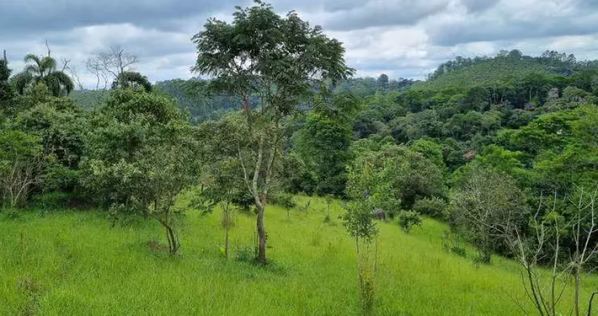 Chácara / sítio com 2 quartos à venda na Estrada Keida Harada, Ipelândia, Suzano