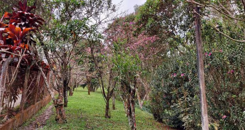 Terreno em Ipelandia