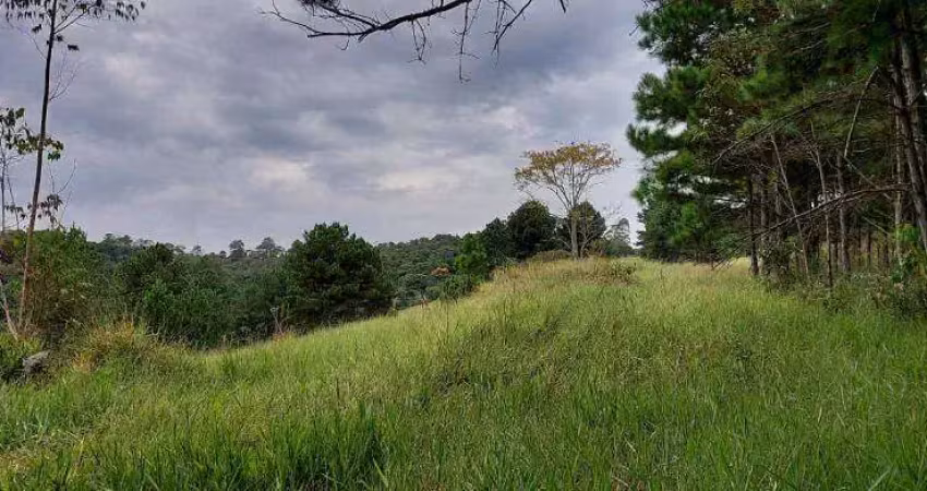 Área a venda em suzano, ideal para loteamento, fica há 20 minutos do centro.