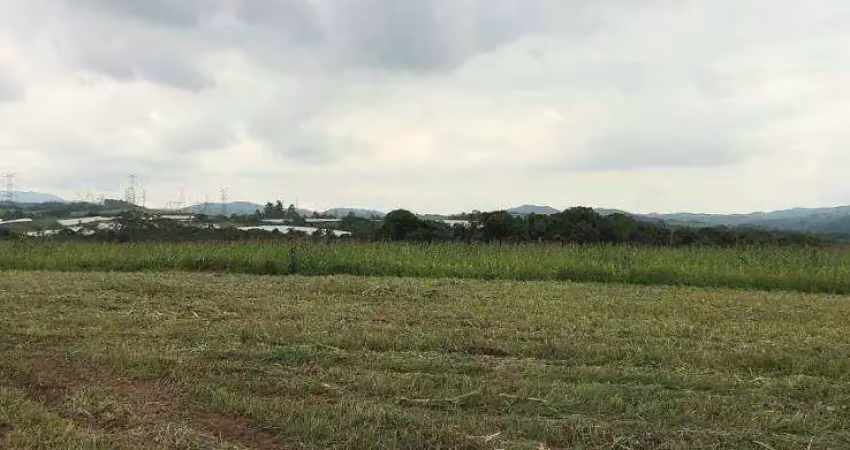 Chácara / sítio com 3 quartos à venda na Viela Cinco, Parque das Varinhas, Mogi das Cruzes