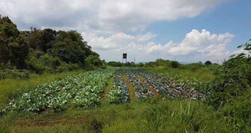 Area a venda em suzano, ideal para lavoura ou investimento, confira
