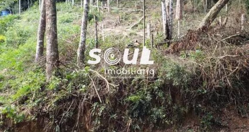 Terreno para Venda em Teresópolis, Prata