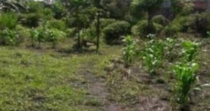 Guarulhos, Terreno Comercial/Residencial de 2000m².