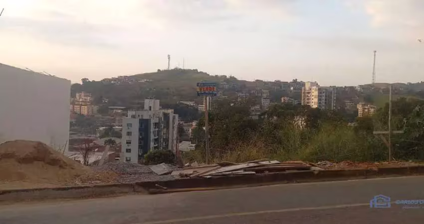 Terreno à venda no Santa Cruz, Ubá 