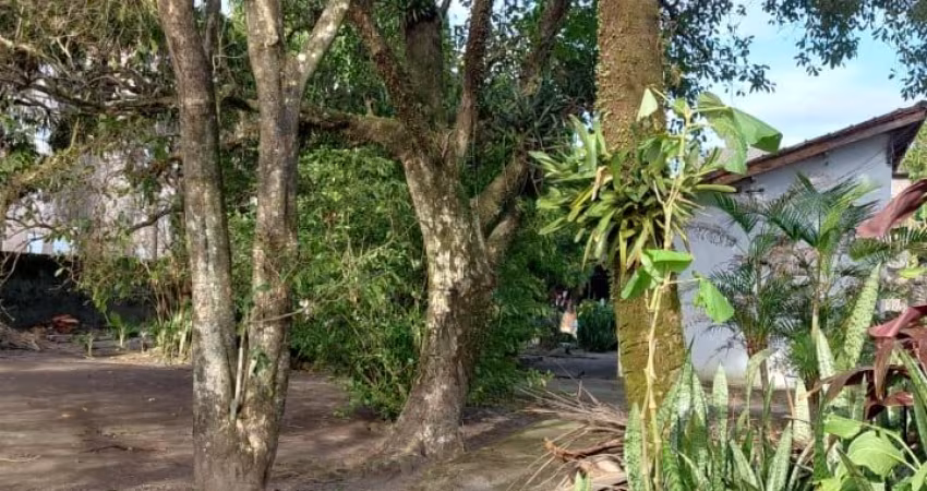 Excelente  terreno de esquina.