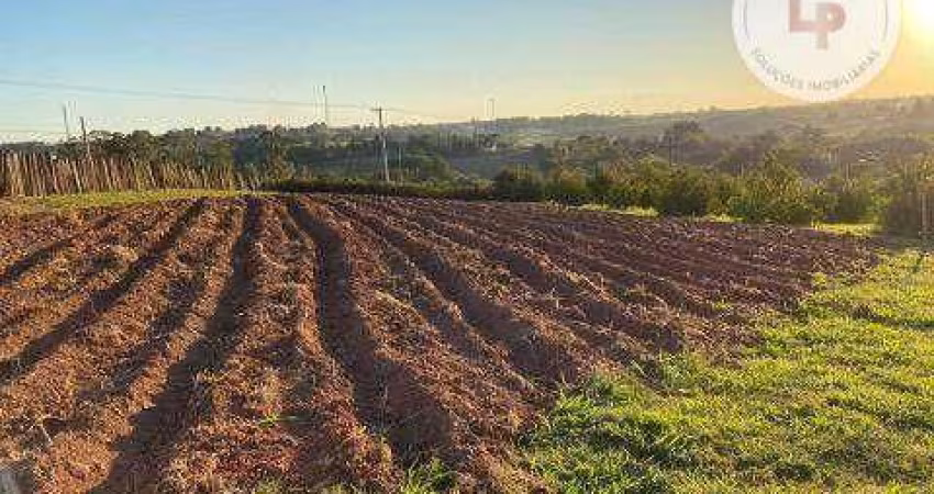 Sítio com 3 dormitórios à venda, 26455 m² por R$ 1.800.000,00 - Reforma Agrária - Valinhos/SP