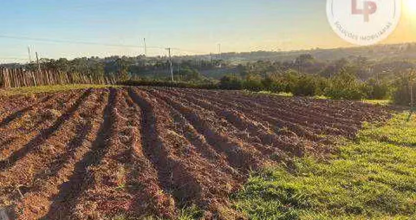 Sítio com 3 dormitórios à venda, 26455 m² por r$ 1.800.000,00 - reforma agrária - valinhos/sp