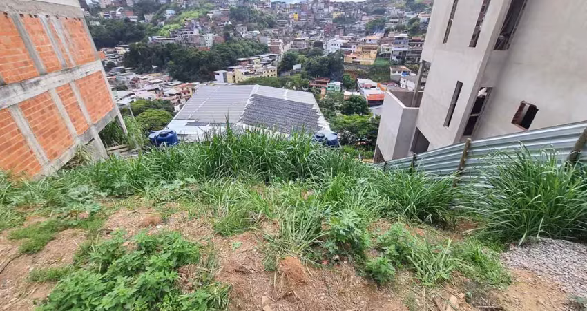 Terreno à venda na Rua Oldemir Mazocoli, 11, Bosque dos Pinheiros, Juiz de Fora