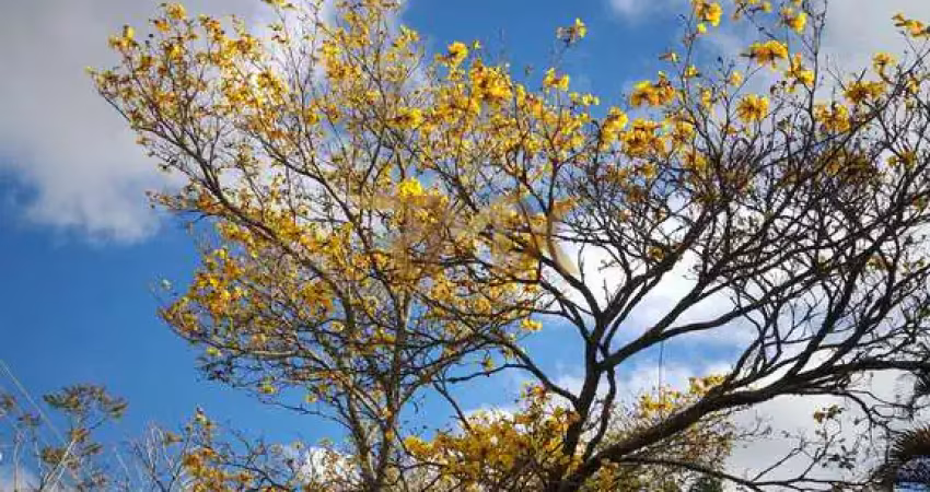 Linda granja a venda no novo horizonte juiz de fora mg