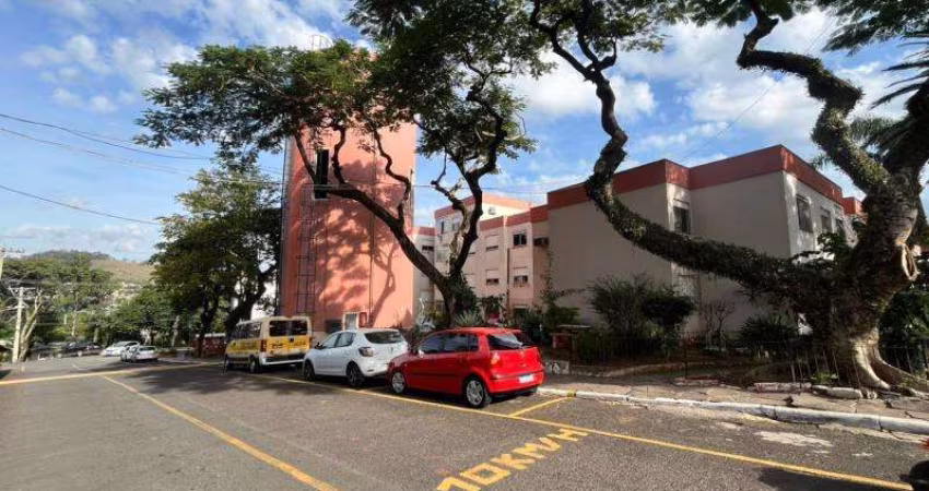 Apartamento 1 dormitório no bairro Nonoai