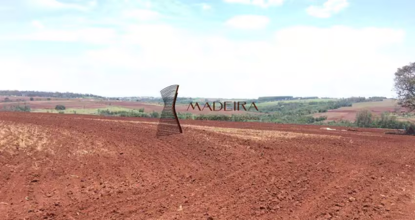 Sítio à venda, gleba ribeirão centenário - maringá/pr