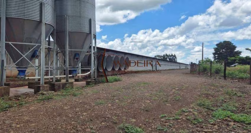 AVIÁRIO A VENDA - SITIO DE 1 ALQUEIRE E MEIO - CAMBIRA PR