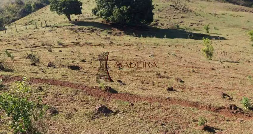 Chácara / sítio à venda na Zona Rural, Mandaguari 