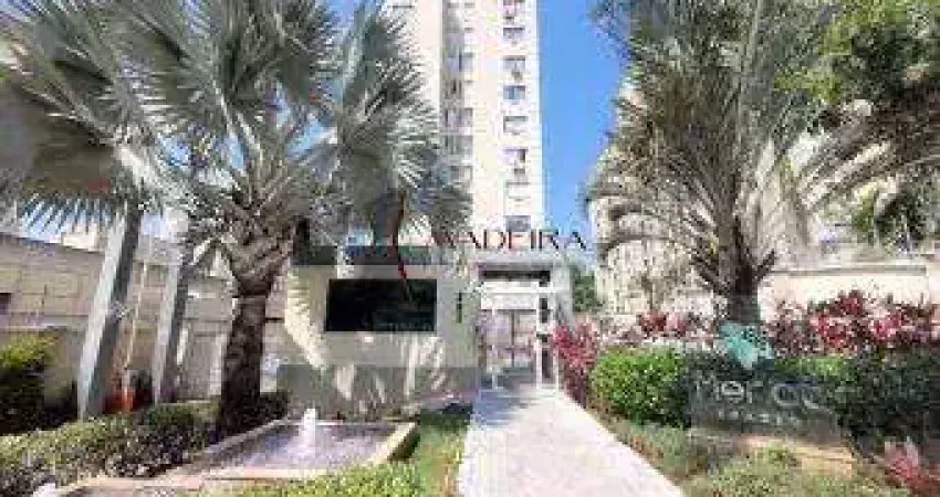 Apartamento à venda, 2 quartos, 1 vaga, loteamento malbec - maringá/pr