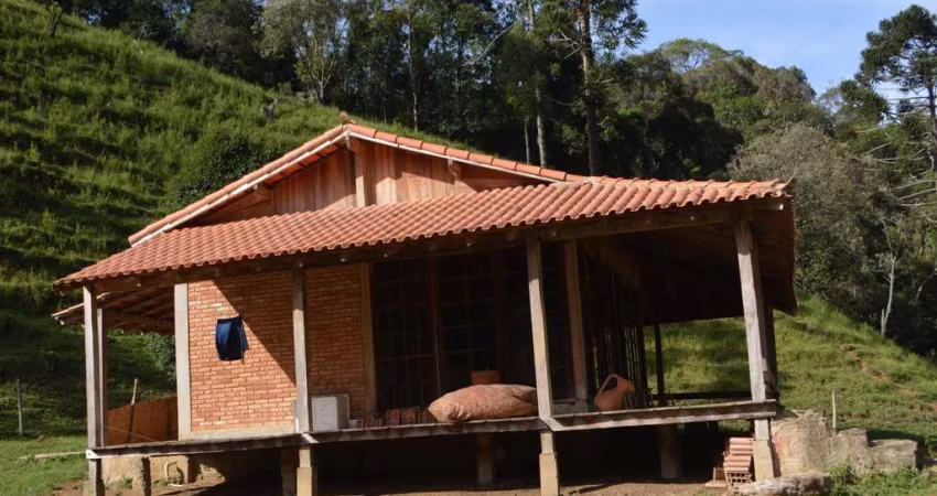Fazenda à venda no Centro, São José do Barreiro 