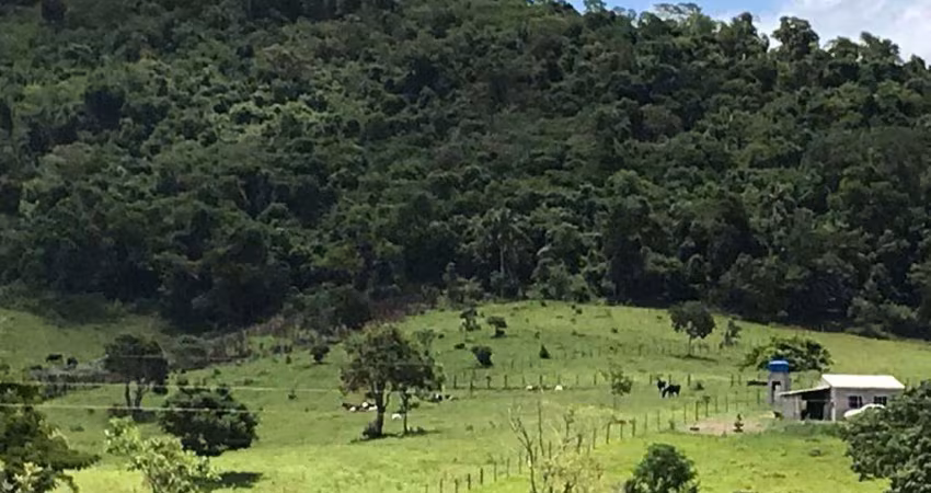 Chácara / sítio à venda no Centro, Paraibuna 