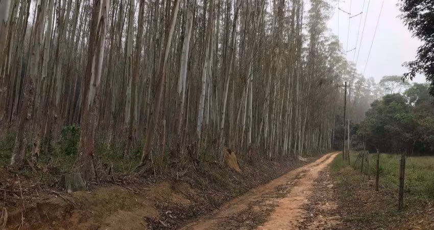 Chácara / sítio com 1 quarto à venda na Zona Rural, Biritiba-Mirim 