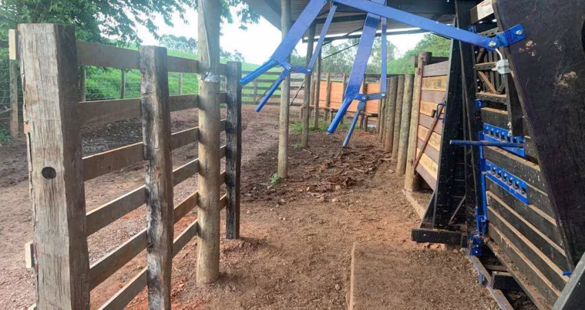Fazenda à venda no Centro, Ibiá 