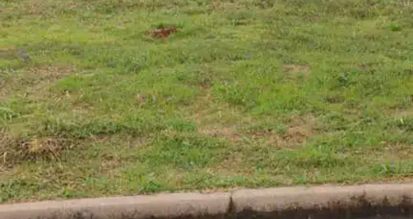 Terreno para venda em araraquara, residencial ravena
