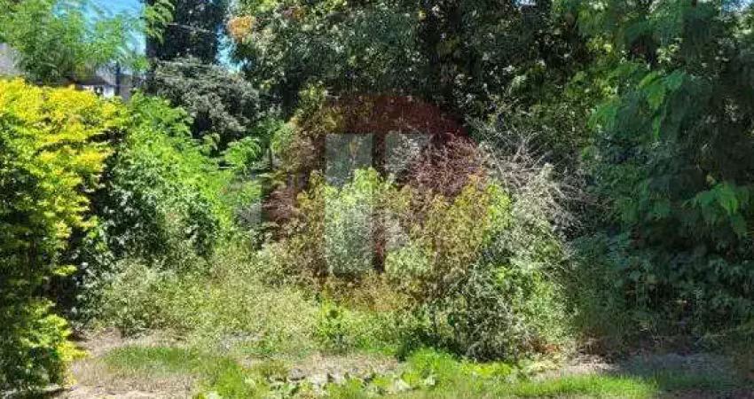 Terreno à venda em São Luiz, Belo Horizonte 