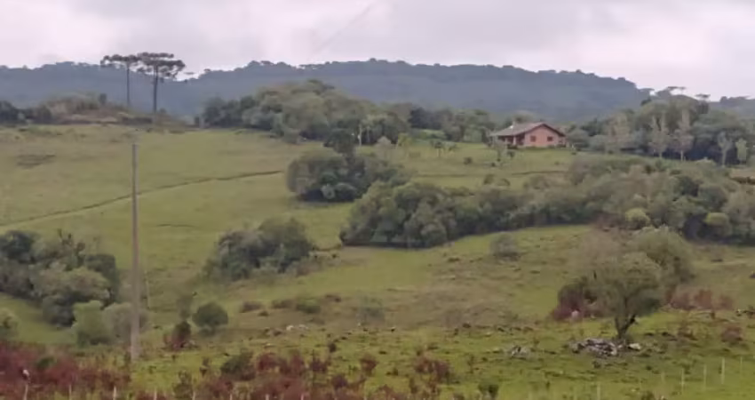 Fazenda para venda em caxias do sul, mulada, 3 dormitórios, 1 suíte, 3 banheiros, 3 vagas