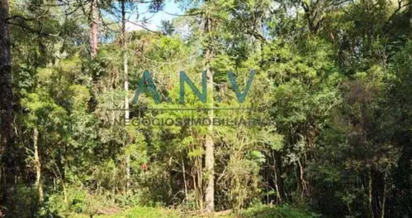 Chácara / sítio à venda na Vila Seca, Caxias do Sul 