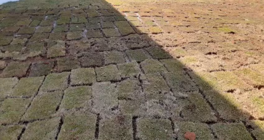 Terreno em condomínio fechado à venda na Alameda das Cássias, Tamboré, Santana de Parnaíba