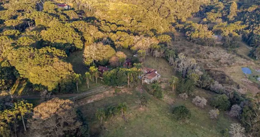 Chácara / sítio com 3 quartos à venda na Aleixo Collere, 400, Cerne Papanduva, Campina Grande do Sul