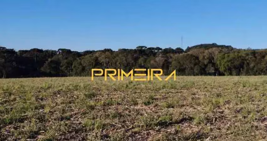 Terreno à venda na São Benedito, 155, Salgadinho, Campo Largo