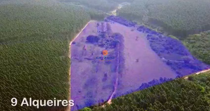 Chácara em piratininga i 3 quartos i 3 suites i 1 banheiro i 1 sala i 1 vaga