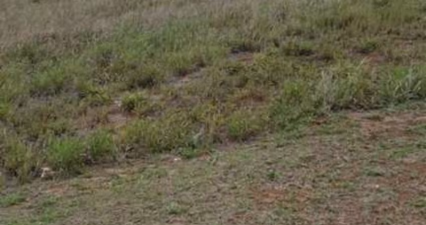 Terreno à venda, 572 m² por R$ 743. - Aldeia da Serra - Santana de Parnaíba/SP C
