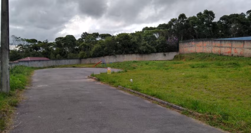 Terreno Colombo,  Bairro Sta.Tereza, . ElR$2.461,15 mensais.