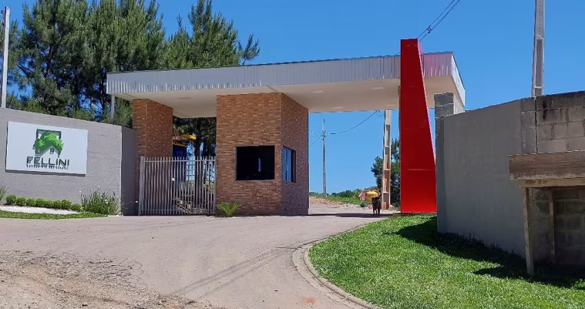 Terrenos Campina Grande do Sul ( centro) R$1.293,58 mensais.