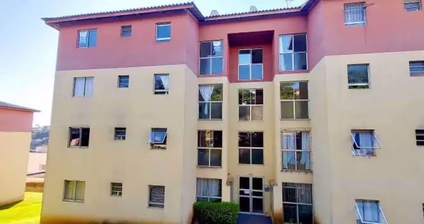Apartamento com 2 quartos para alugar na Rua Conrado Schiffer, Estrela, Ponta Grossa