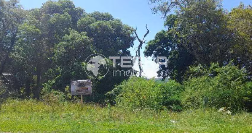 Oportunidade boqueirao, localizado no residencial mirante - guarapuava - pr