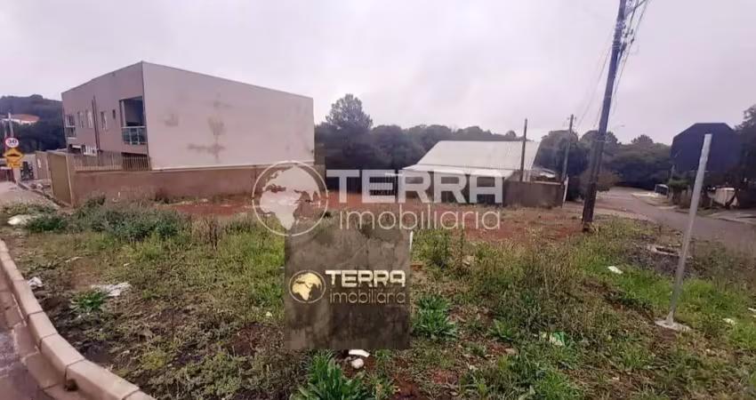 Excelente terreno disponível para venda no bairro alto da xv