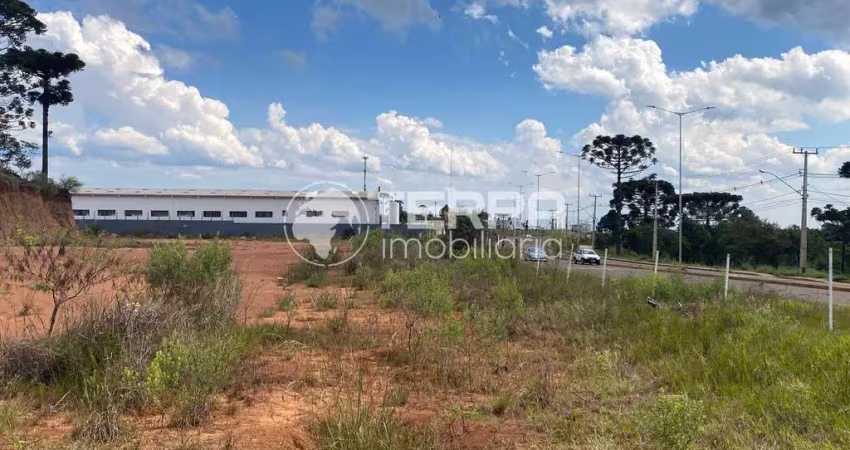 Otimo terreno de 12mil metros quadrados na xv de novembro em gpva