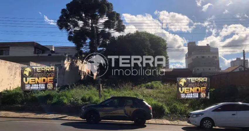 Terreno centro de guarapuava de 20x46 - rua vicente machado