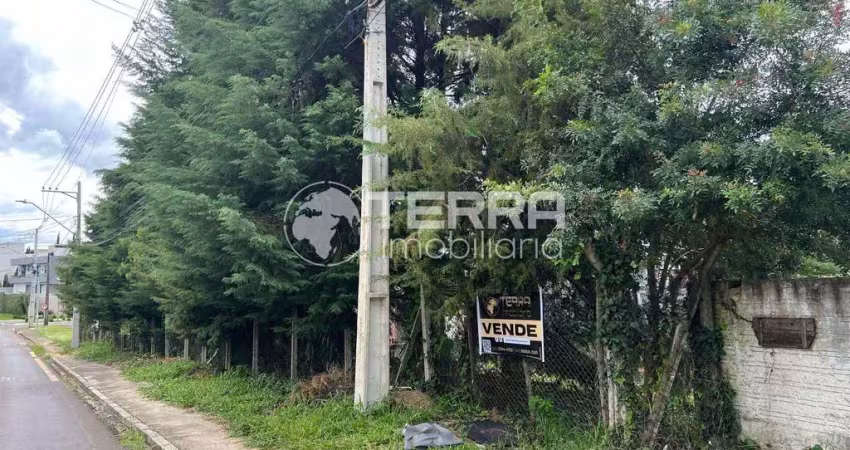 Terreno à venda na Rua Leonardo Coblinski, Boqueirão, Guarapuava
