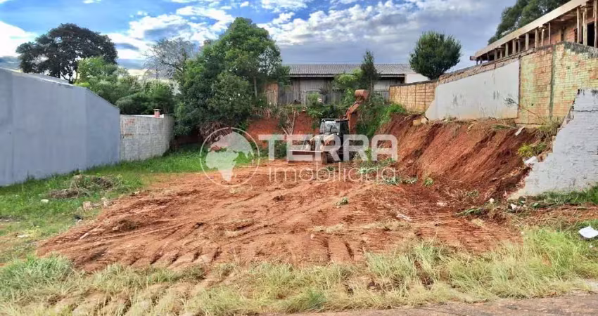 Terreno à venda na Rua Eduardo Chaia, Batel, Guarapuava