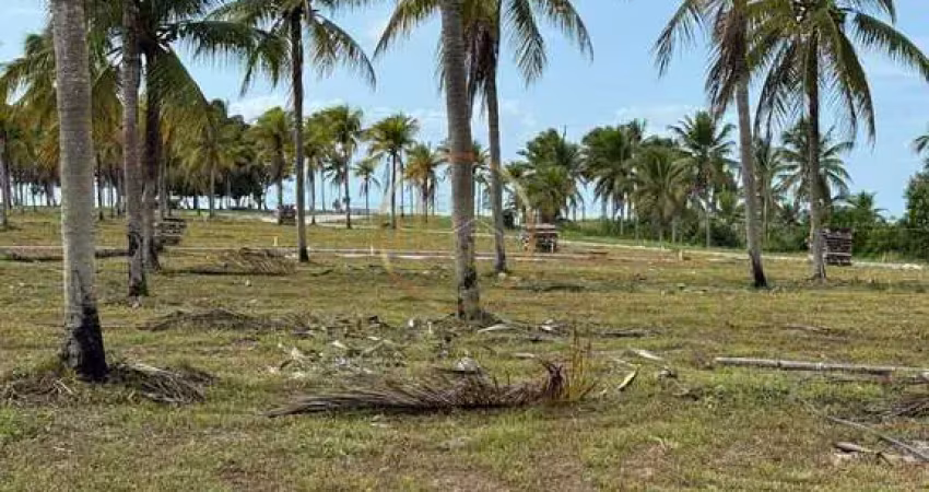 Lote de 300m² em coroa vermelha por r$200.000 - venda