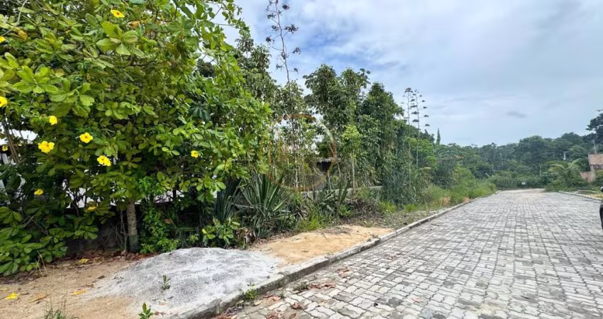Casa 2 Dormitórios em Coroa Vermelha - Oportunidade Imperdível!