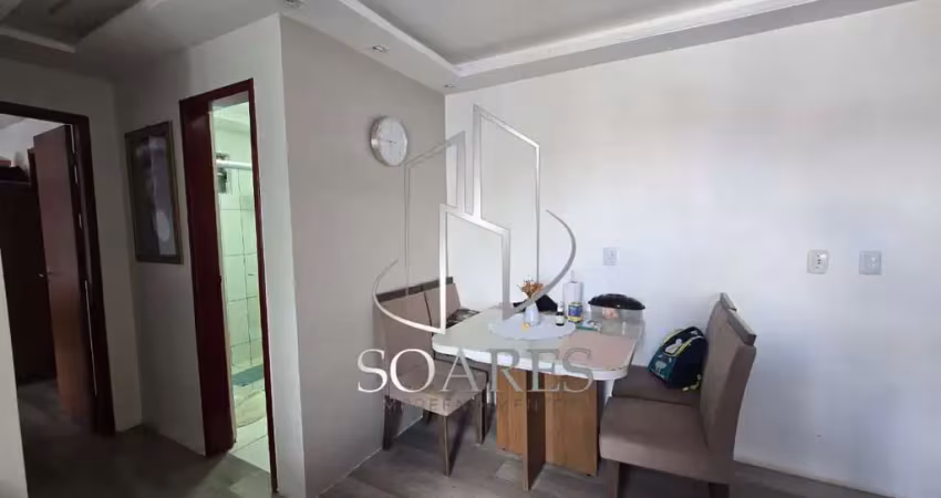 Multi maguari – 2 quartos, suíte, varanda e piscina na estrada do maguari