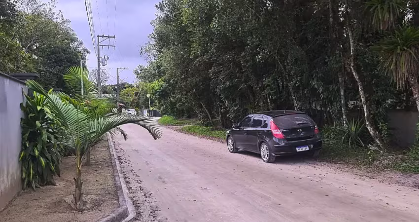 Terrenos  próximos a praia de leste, murados, aterrados  200 mts da rodovia