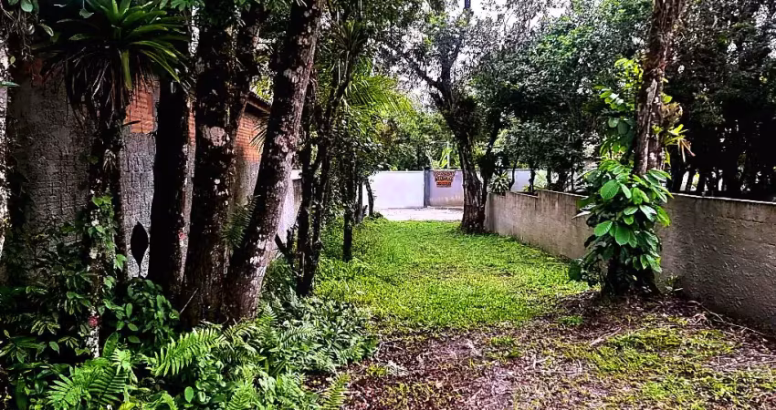 Terreno  próximo a praia de leste, murado, aterrado 200 mts da rodovia