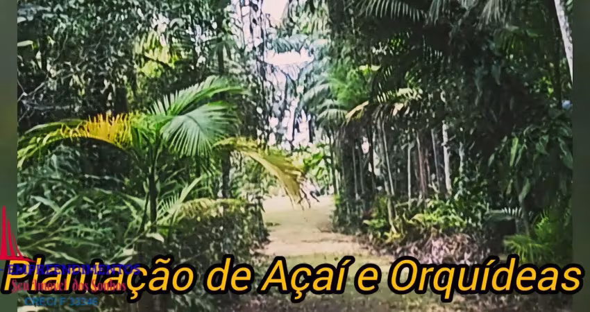 Chácara encantadora com fundos para rio guaraguaçu em praia de leste