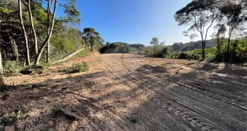 Terreno comercial à venda na Rua Vereador Admar Bertolli, KM 7372, Jardim Marambaia, Almirante Tamandaré